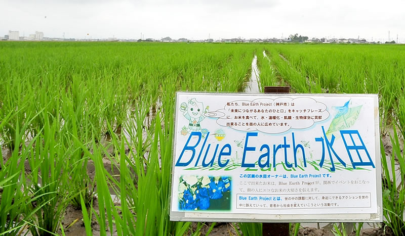 Blue Earth c