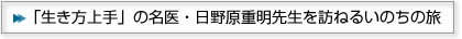 uv̖E쌴d搶K˂邢̗̂