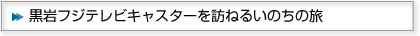 tWerLX^[K˂邢̗̂