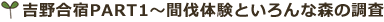 g썇ho`qsP`Ԕ̌ƂȐX̒