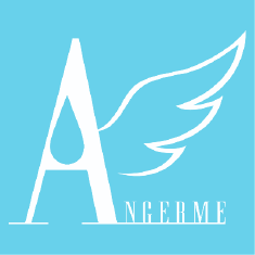  Angerme