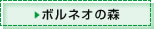 {lI̐X