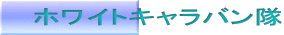 �z���C�g�L�����o����